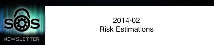 Risk Estimations