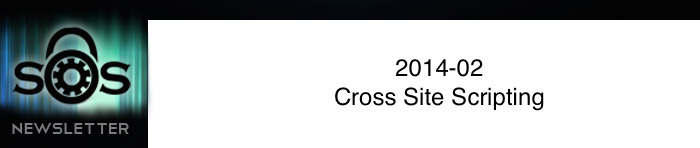 Cross Site Scripting